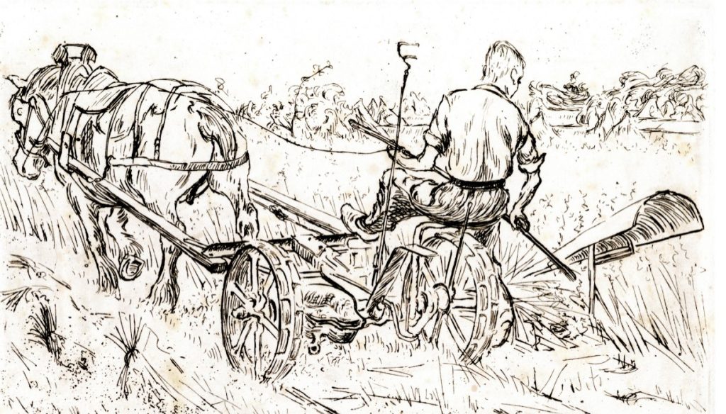 Andreas Schotel - Maaien met paard